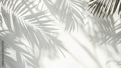 Natural shadow overlay on white texture, ideal for product presentation, backdrop, mockup, and summer themes