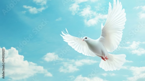 White dove soaring in serene blue skies background with empty space for text