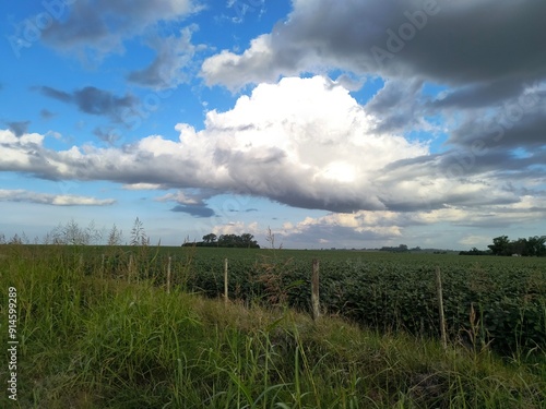 Campo con nubes