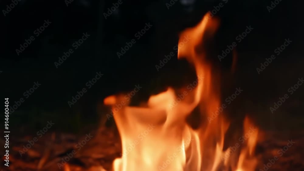 Experience Joy of Sitting by Campfire Flames at Night in Beautiful, Natural, Peaceful Setting. vibrant campfire crackling warmly in serene outdoor environment, perfect for intimate and cozy gatherings Experience Joy of Sitting by Campfire Flames at Night in Beautiful, Natural, Peaceful Setting. vibrant campfire crackling warmly in serene outdoor environment, perfect for intimate and cozy gatherings