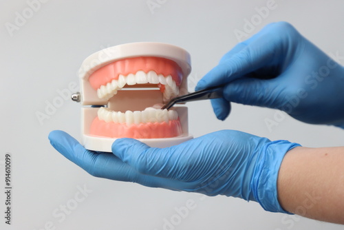 Professional wearing gloves holding a simulated mounth in one hand and with another simulating holding a cotton roll with a clamp 