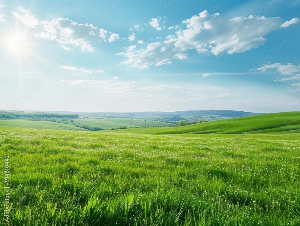 Fototapeta premium Green Meadow Under Sunny Sky