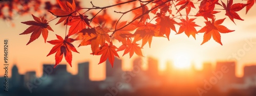 Cultural observance: autumn equinox day in Japan, commemorating ancestors, keeping memory of dead alive, traditional practices, heartfelt ceremonies that emphasize reverence, remembrance photo