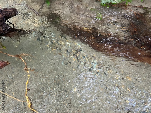 clear water in minakami japan photo