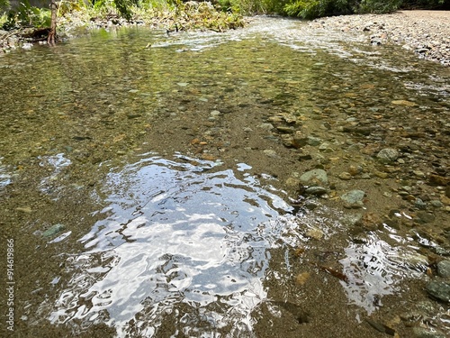 water flowing in the forest clear minakami japan photo