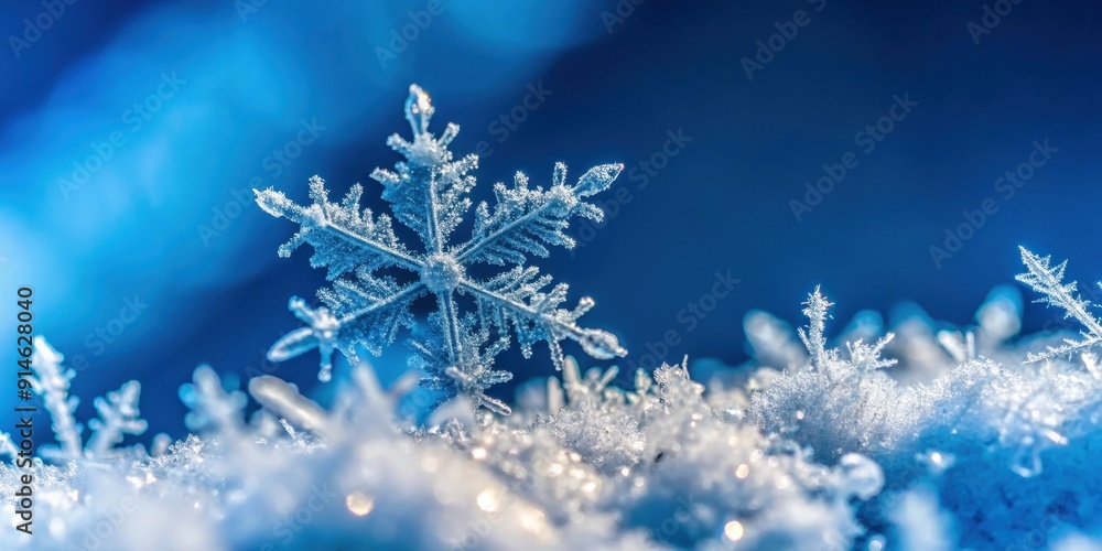 Close-up of intricate snow crystals against a blue backdrop, macro photography, snowflakes, ice, winter, cold, frozen Close-up of intricate snow crystals against a blue backdrop, macro photography, snowflakes, ice, winter, cold, frozen