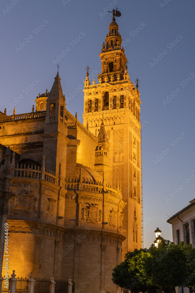 Fototapeta premium Night time view of the Seville Cathedral.