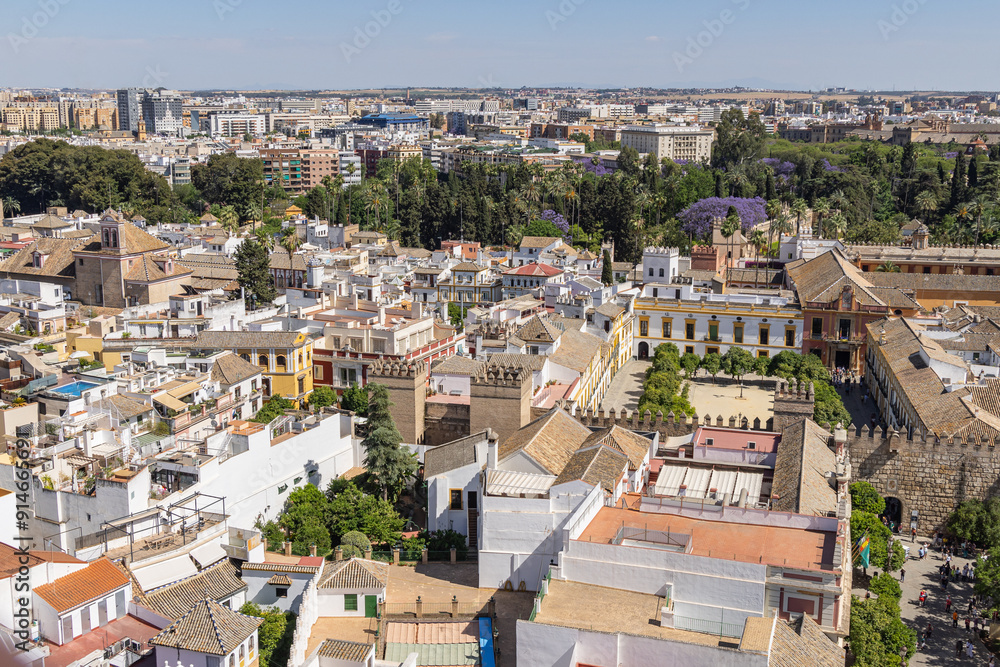 Obraz premium View of Seville from the roof of the Cathedral.