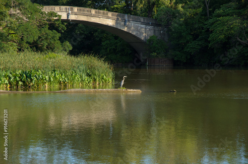 Erie canal as it flows through Rochester, New York