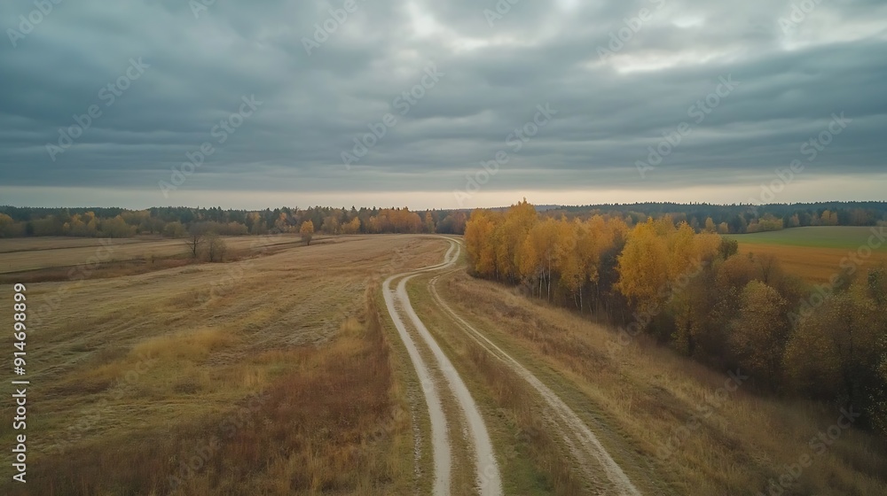 Aerial moody autumn rural scenery with cloudy grey sky dirt road in fields and forest : Generative AI Aerial moody autumn rural scenery with cloudy grey sky dirt road in fields and forest : Generative AI