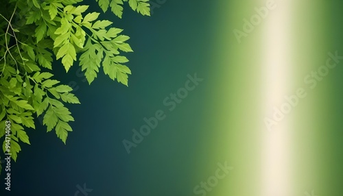 A vertical ombre with deep forest green fading into a bright lime at the bottom, set against a softly blurred, natural background resembling dense foliage.