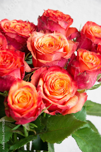 Wallpaper Mural グラデーションカラーのばら Torontodigital.ca