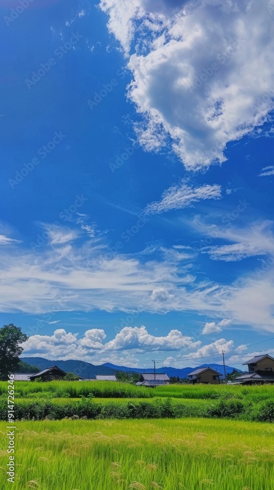 Fototapeta premium 青空と新緑の草原