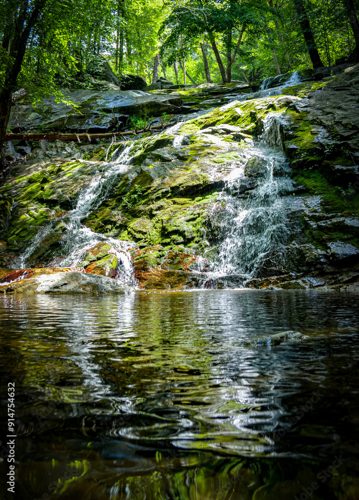 Naklejka premium View of Mineral Springs, Black Rock Forest, Cornwall, New York