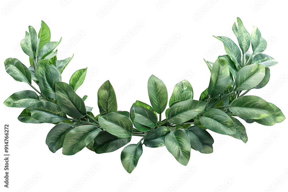 A green leafy plant with a white background A green leafy plant with a white background