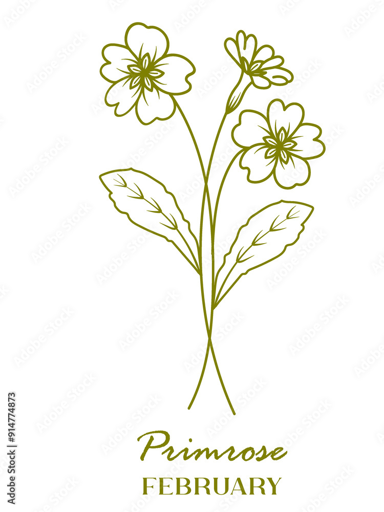 February Olive Birth Flower Vector February Olive Birth Flower Vector