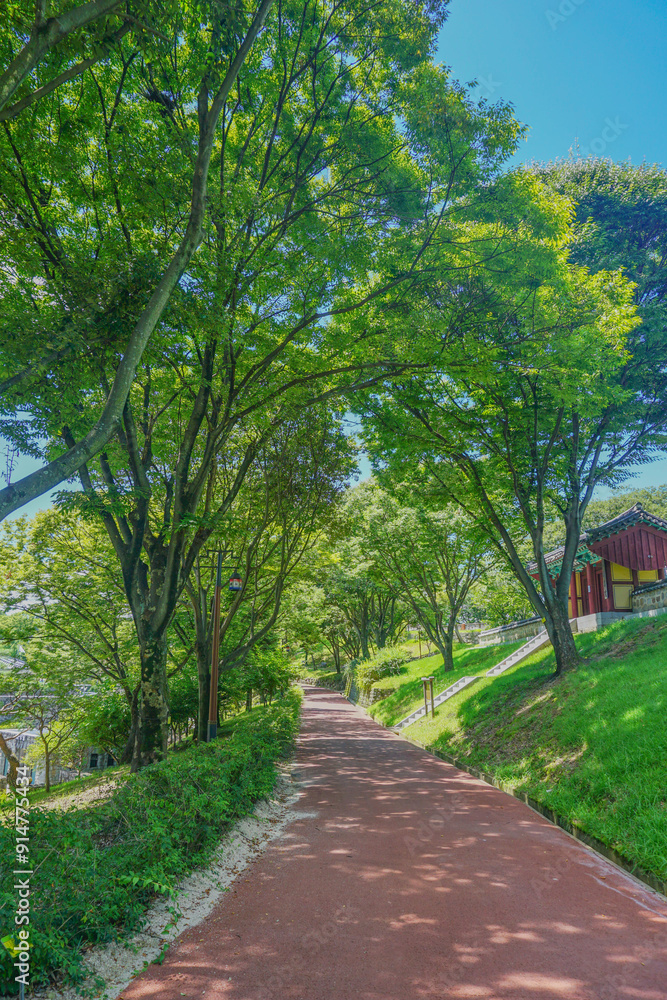 여름날 싱그러운 산책 길 여름날 싱그러운 산책 길