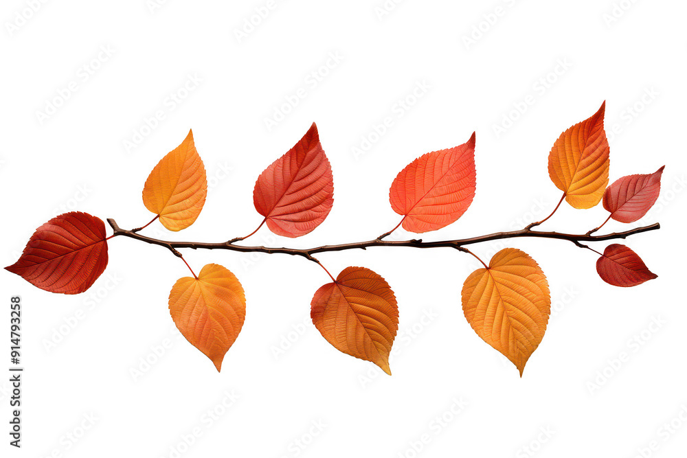 Obraz premium A line of orange and red leaves on a white background