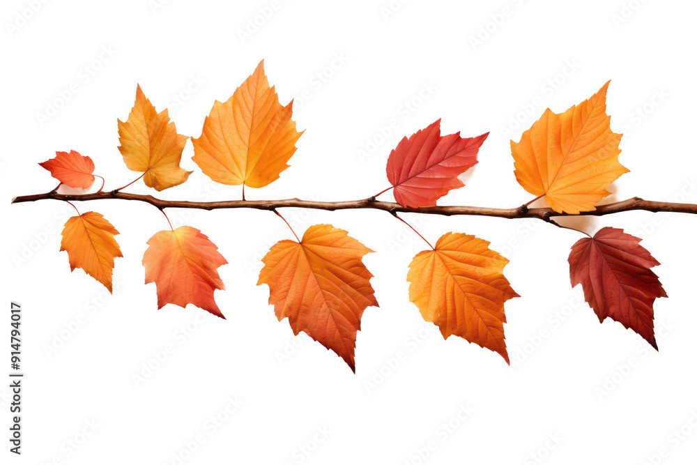 Naklejka premium A row of orange leaves on a branch