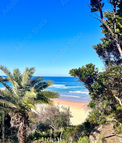 Looking through the green trees at the surfers riding the blue waves on an Australian beach