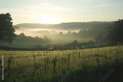 Wallpaper Mural Misty Morning in a Lush Green Valley Torontodigital.ca