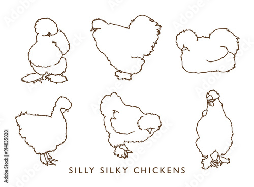 Silly Silkie Chickens - Outlines!
