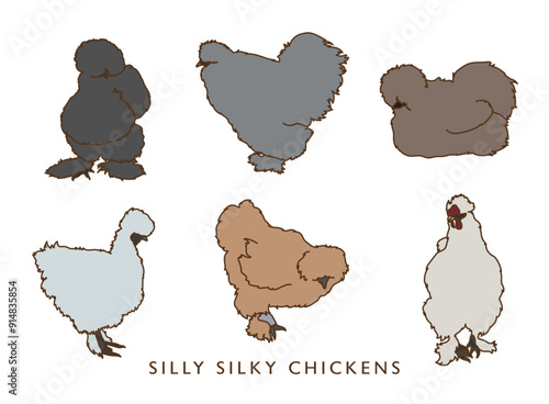 Silly Silkie Chickens - In Color!
