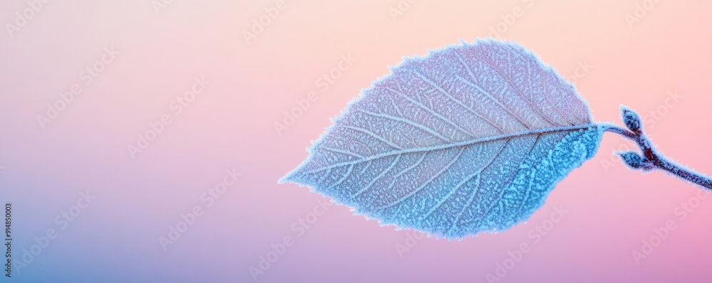 Frozen leaf on pastel gradient background, macro Frozen leaf on pastel gradient background, macro