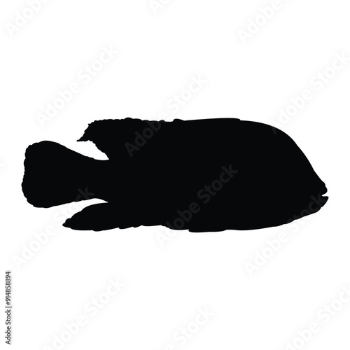 black freshwater ornamental fish silhouette vector design on a white background