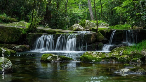 Serene Waterfall in a Lush Forest