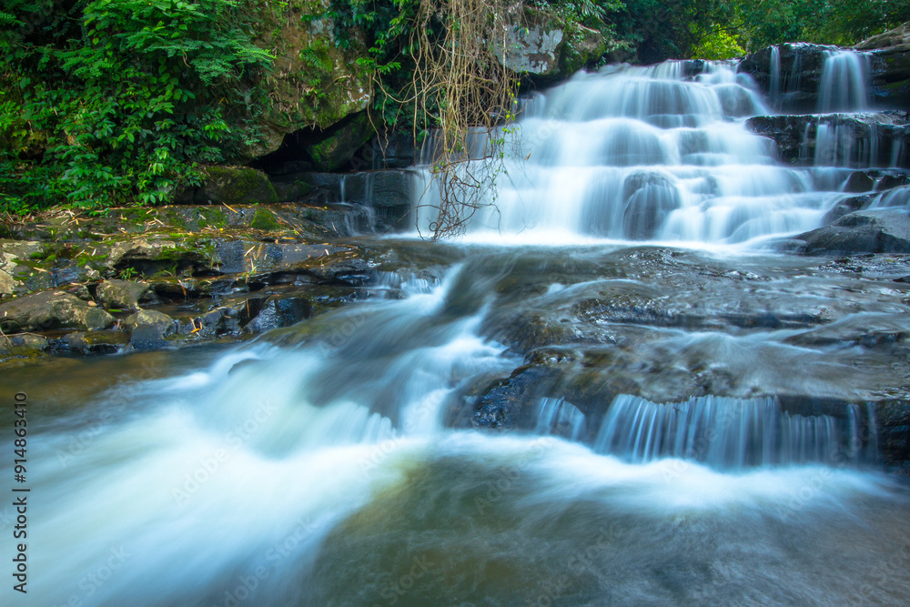 Obraz premium waterfall in the forest