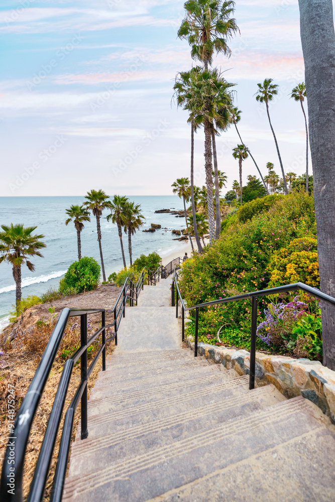 Obraz premium Laguna Beach ocean shoreline with palm trees at Treasure Island Park, Orange County, California USA