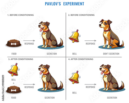 Image capturing Pavlov's experiment with a dog, showcasing conditioned reflexes, ideal for psychology, science, and educational content