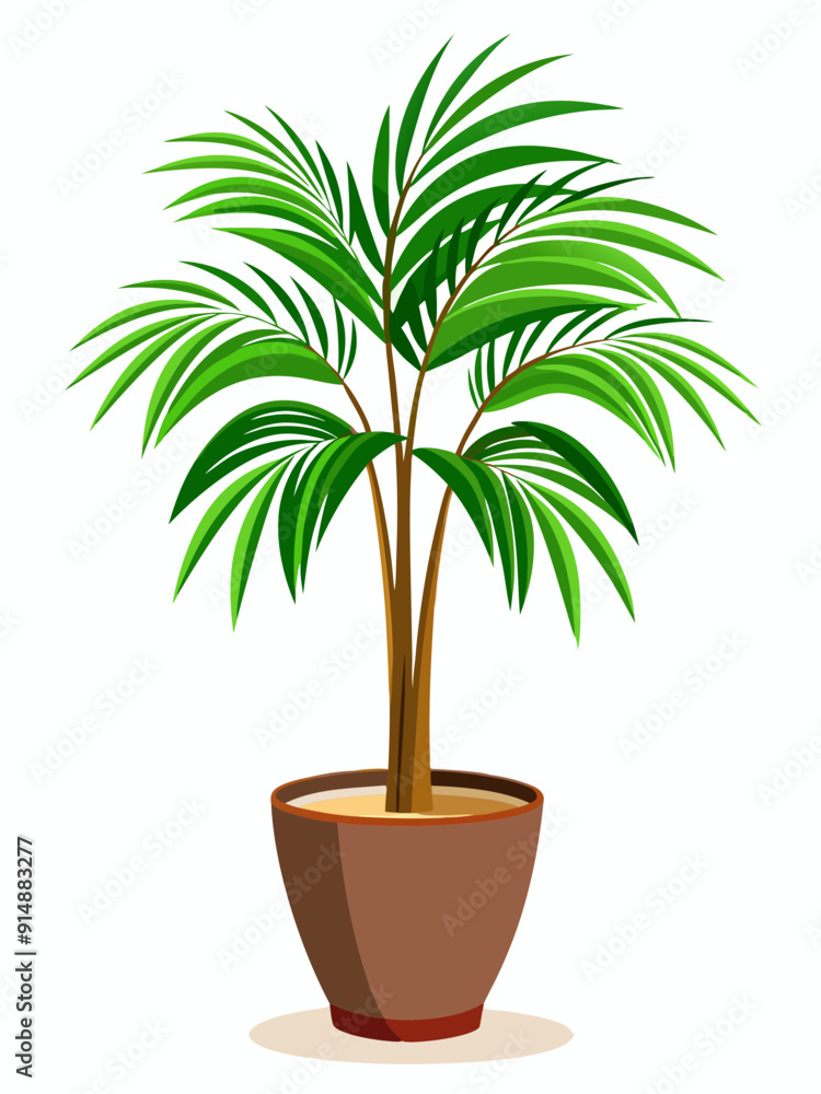 Vector illustration of an Areca Palm in a pot Vector illustration of an Areca Palm in a pot