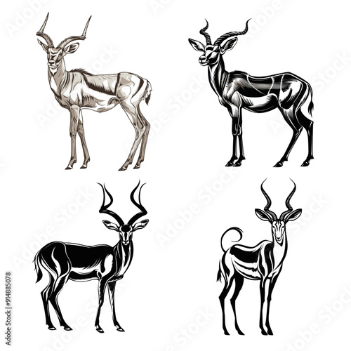 Four different drawings of antelope, each with a different pose and expression. The first antelope is standing with its head down, the second is standing with its head up