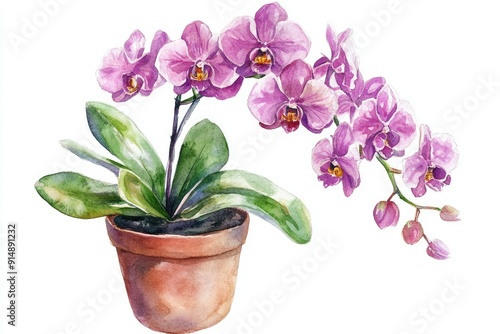A vibrant watercolor painting of a purple orchid in a terracotta pot, showcasing its beautiful blossoms and lush green leaves.