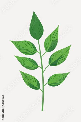 flat leaf plant illustration vector