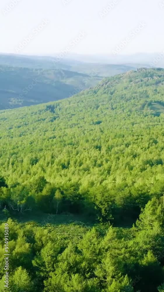 Aerial view of rural area during summer
