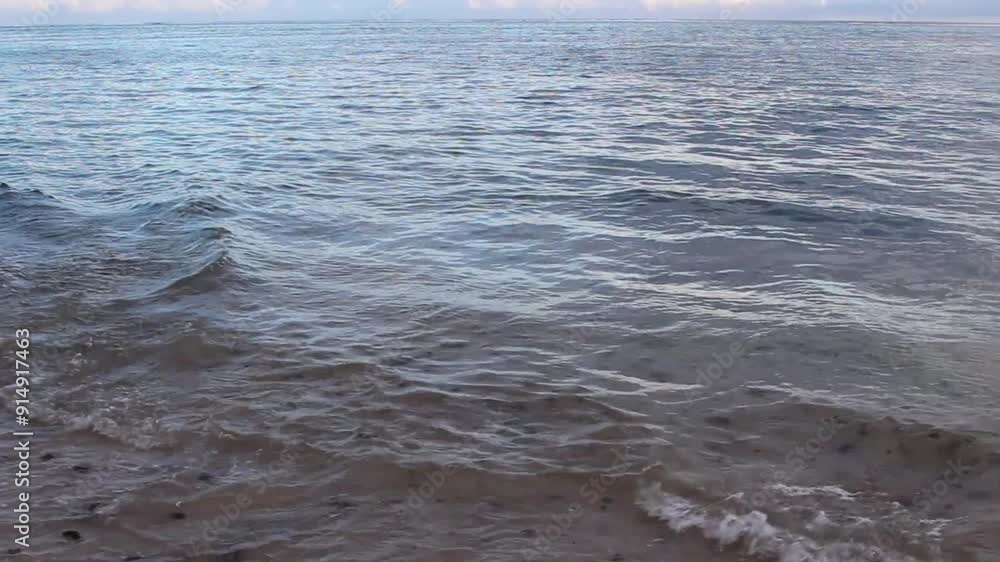 Small Ocean Waves Inside Reef On Sand Beach With Rocks Moorea French Polynesia South Pacific
Small Ocean Waves Inside Reef On Sand Beach With Rocks Moorea French Polynesia South Pacific