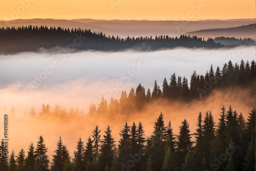 spruce forest on mountain hillside in fog at sunrise. autumnal landscape