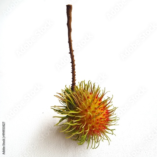 Rambutan fruit on white background