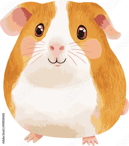 Simplified illustration of guinea pig, cartoon and child-friendly drawing on white background