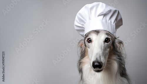 Borzoi Wearing a Chef's Hat photo