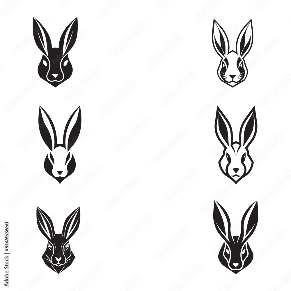 Fototapeta premium set of rabbit