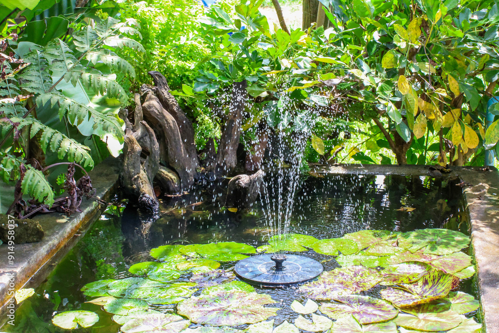 fountain in the garden fountain in the garden