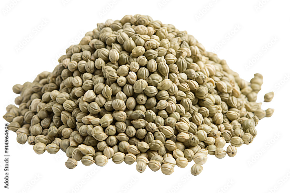 A Bountiful Pile of Green Seeds Ready for Planting in the Dawn Light on Transparent PNG Background. A Bountiful Pile of Green Seeds Ready for Planting in the Dawn Light on Transparent PNG Background.
