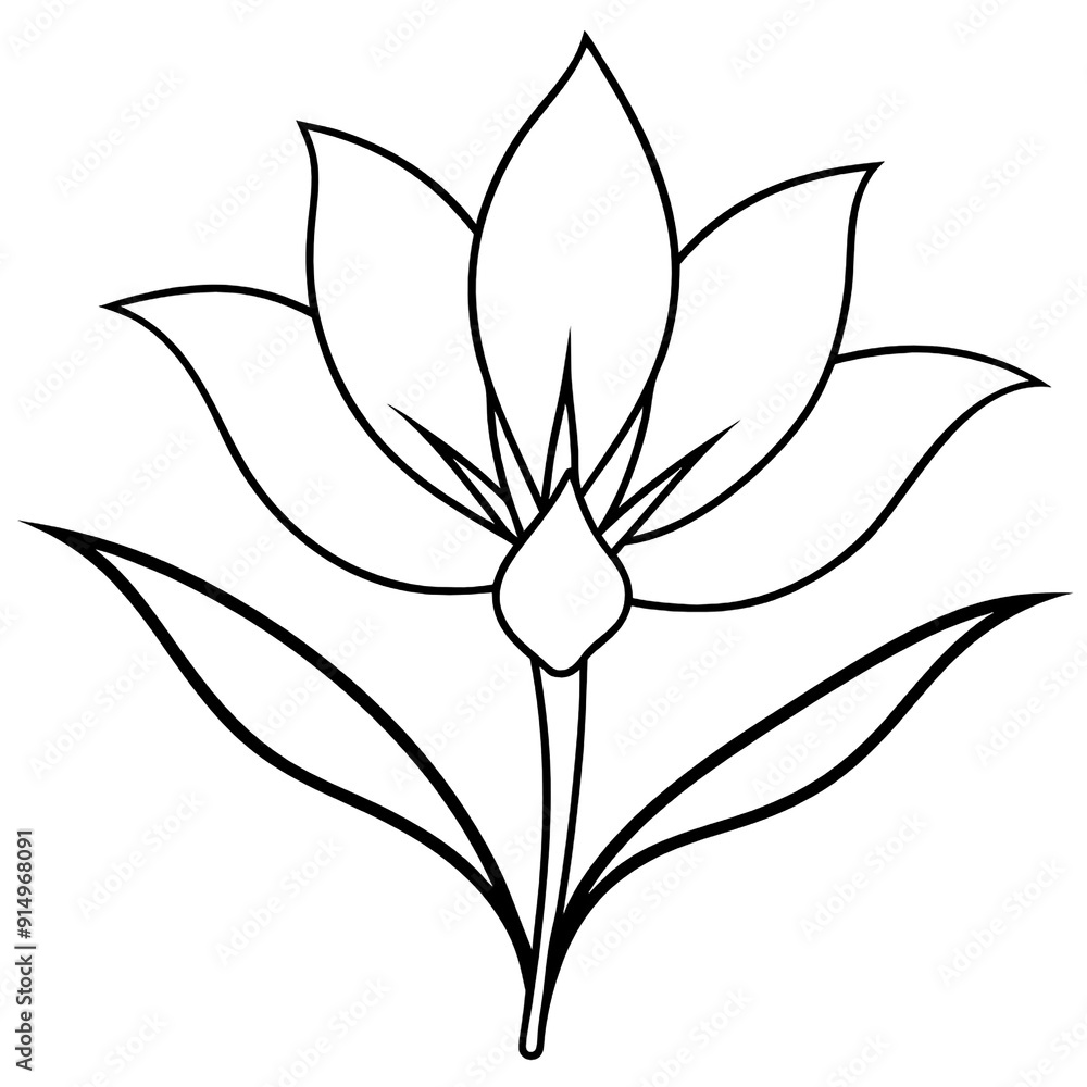 Fototapeta premium A flower with pringles