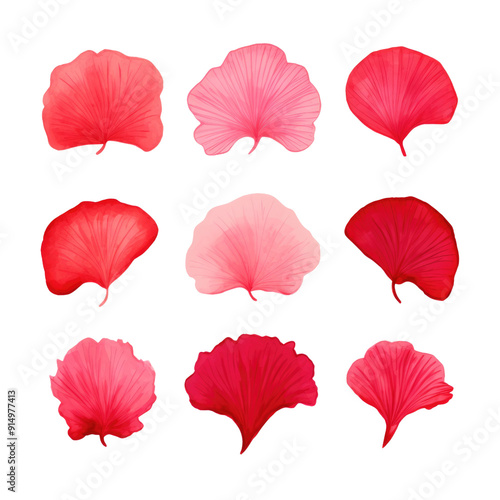 A vibrant collection of red and pink petals showcasing delicate textures, ideal for romantic or floral-themed projects in isolated on transparent or white background