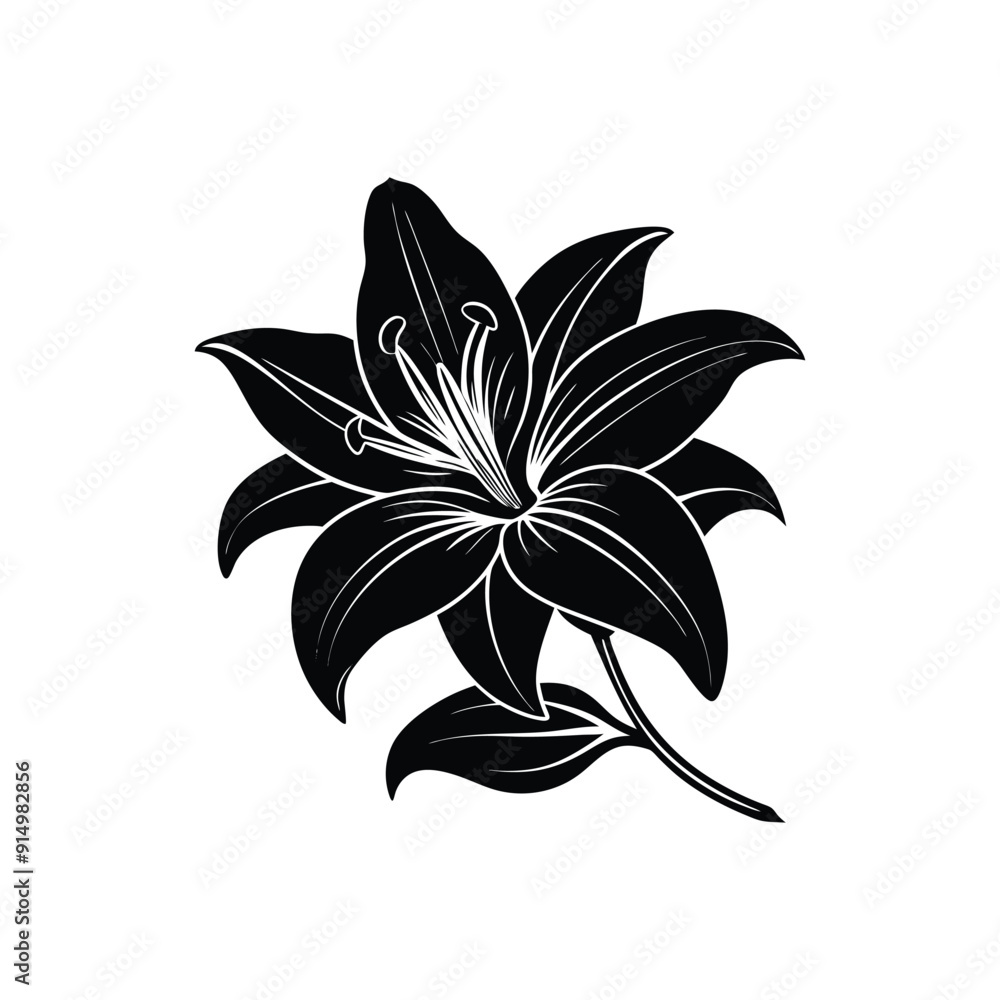 Obraz premium a morning glory flower silhouette vector illustration