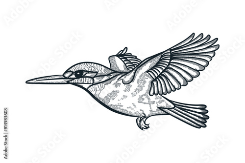 Vintage engraving isolated hummingbird set illustration ink humming sketch. Bird background colibri tropical silhouette art. Black and white hand drawn vector image.